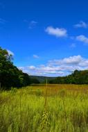 Field Nature Landscape