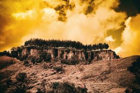 trees view clouds orange