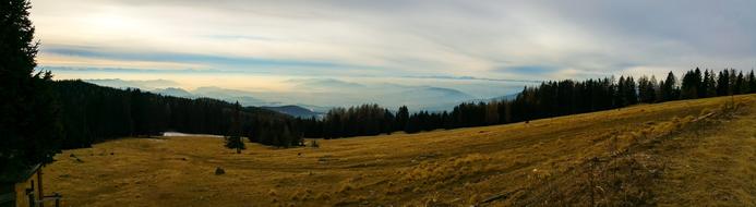 panoramic view of the field