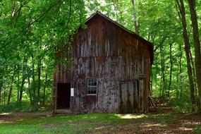 Historic Wooden Barn st forest