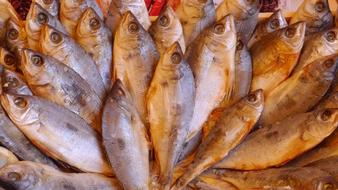 fresh dried fish