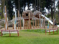 playground in the forest