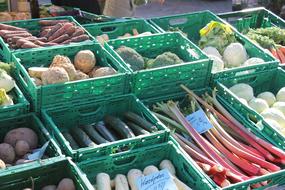 vegetables in green boxes