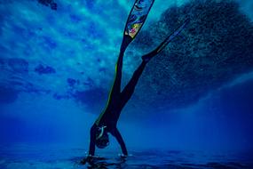 Underwater Waters Marine