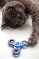 Spinner Cat Toy The