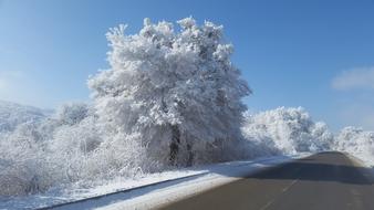 Winter Road