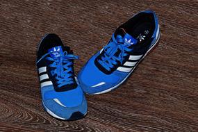 Shoes Shoe Foot