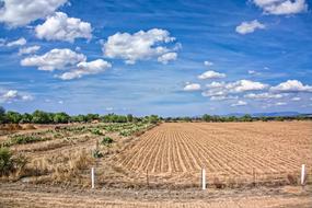 Agriculture Nature Field