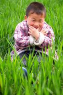 Smiling child on the beautiful field with green wheat plants