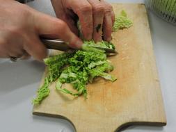 sliced cabbage on a board