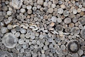 Logs Pile Wood