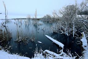 snowy season by the lake