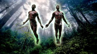 People Nature Men forest fantasy