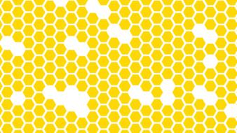 painted yellow and white honeycombs