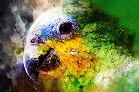 Parrot Watercolor Green