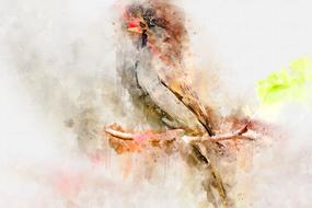 Bird Watercolor Exotic