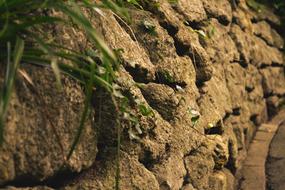 grass and Wall Stones Pattern