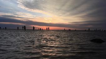 distant view of silhouettes of people on the sea in pink twilight