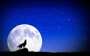 Moon Astronomy Outer Space