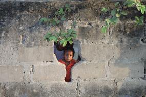 curious kid looks through the fence hole in pemba island