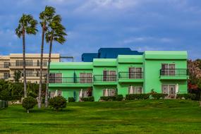 House Architecture and Palm Trees