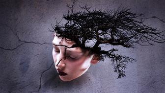 Fantasy Portrait of Surreal face