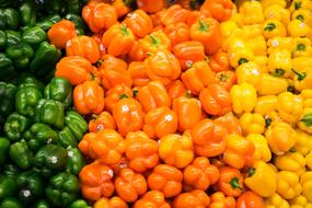 colored vegetables at the market
