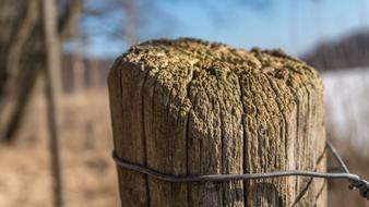 log with wire close up