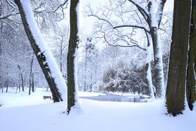 Winter Snow Cold