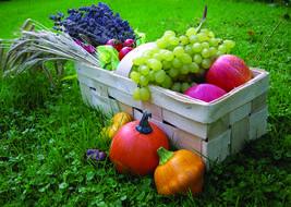 fruit cart