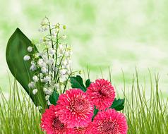 Flowers Nature Sky Open