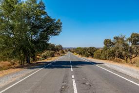 Asphalt Road Travel
