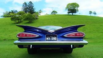 Grass Car Transportation System