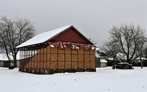 Winter House Corn