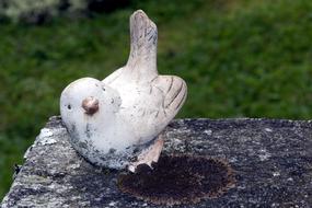 Bird Harmony Cemetery