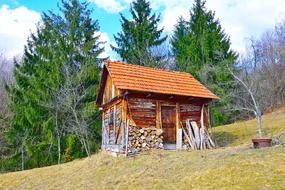 Wood House Outdoors
