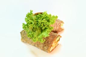 Fresh rolls with lettuce leaf