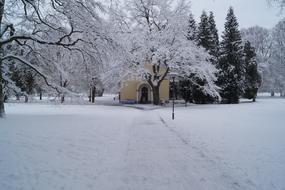 Snow Winter Cold