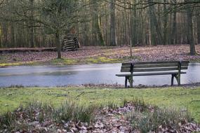 bench in an autumn forest