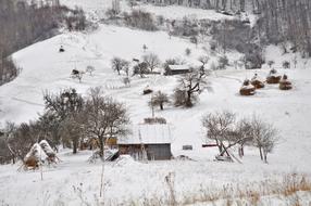 snowy mountain with trees landscape
