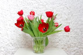 Bouquet Flower Tulip