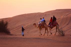 Camel Desert sand People