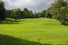 Grass Landscape Nature