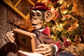 Beautiful and colorful Christmas monkey in hat, near the colorful and beautiful Christmas tree with the lights and decorations