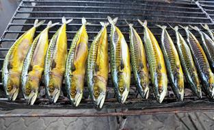 grilled mackerel