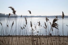 Waters Nature Sky