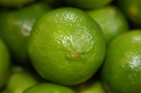 tropical green limes
