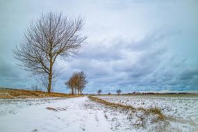 cold winter in the field
