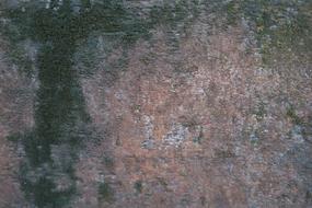 Wood Timber Texture detail