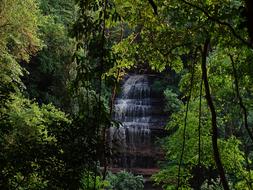 waterfall hidden in the forest